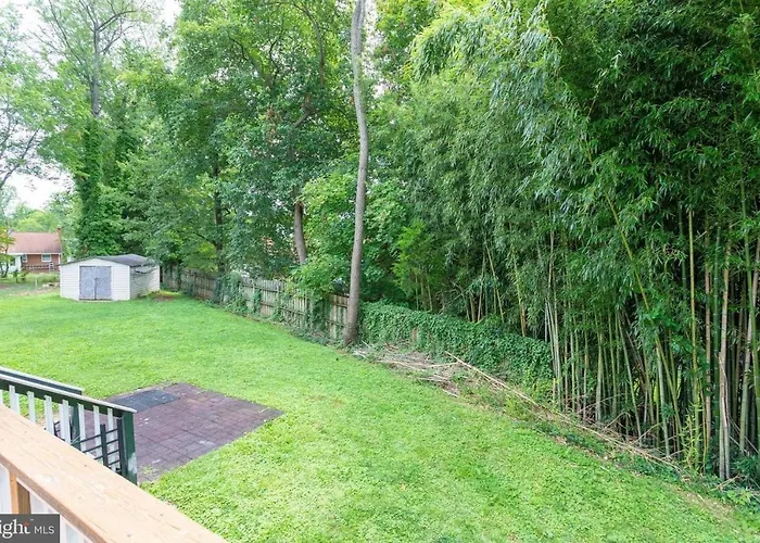 Brand New, Cozy, Modern, One-Bedroom Apartment